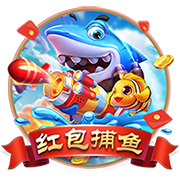 弗格森：罗马是一家伟大俱乐部，目标重返欧冠&希望自己能多进球